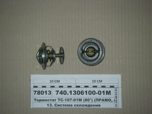 Термостат ТС-107-01М (80°) (ПРАМО, м. Ставрово, РФ)