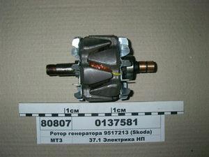 Ротор генератора 9517213 (Skoda) (в-во Магнетон)