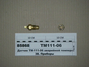 Датчик ТМ-111-06 аварійної температури рідини (Калуга)