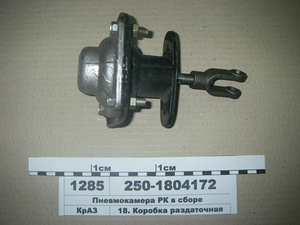 Пневмокамера РК в зборі