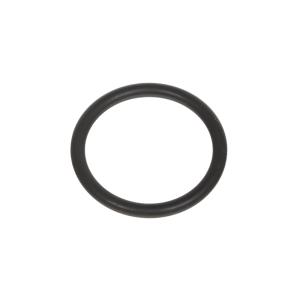 Кільце ущільнювальне форсунки FORD 1833, 2533, 2633 T123509