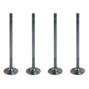 Клапан впускний дв. 9L FORD 1833, 2533, 2633 T162806