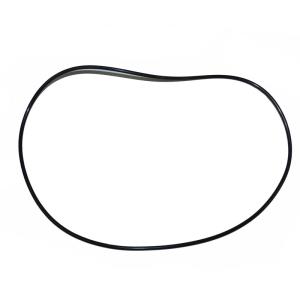 Кільце ущільнююче T216721