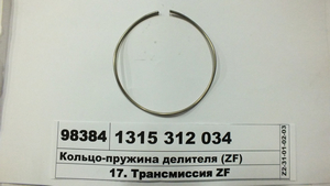 Кільце-пружина дільника (ZF)